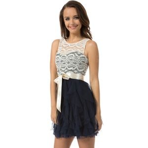 NWT Navy and Cream Sleeveless Lace Illusion Dress